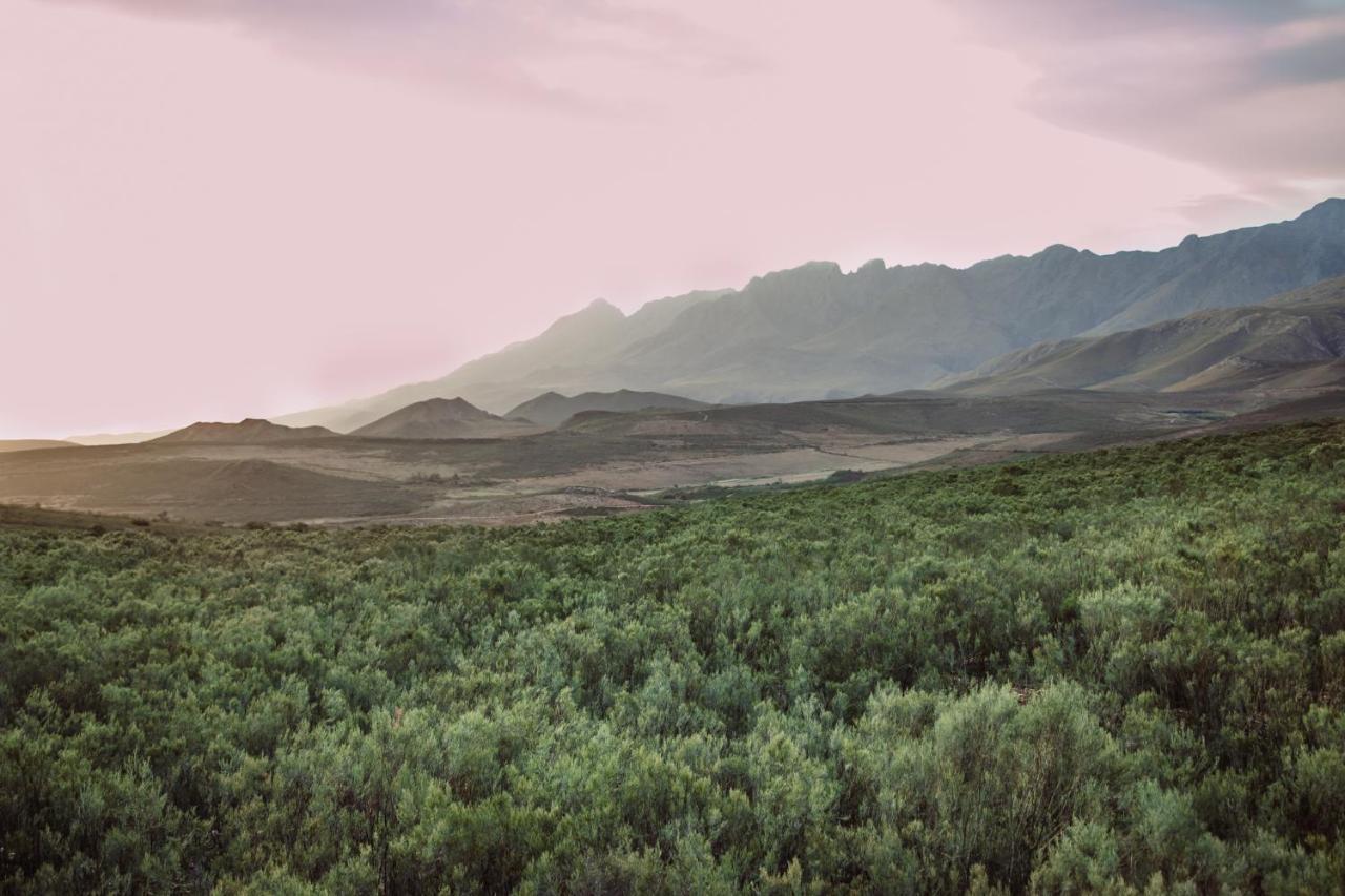 Wildehondekloof Game Lodge Matjiesrivier  Kültér fotó
