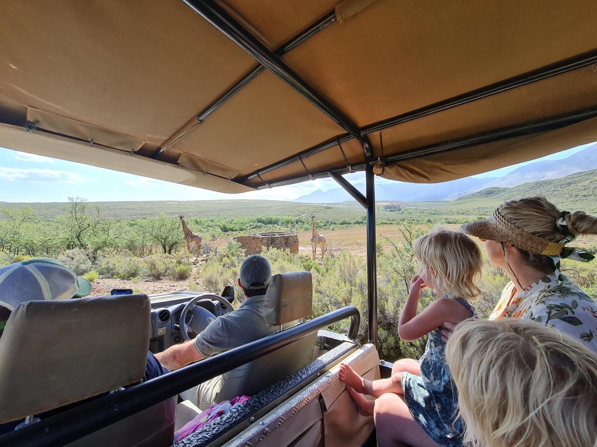 Wildehondekloof Game Lodge Matjiesrivier  Kültér fotó