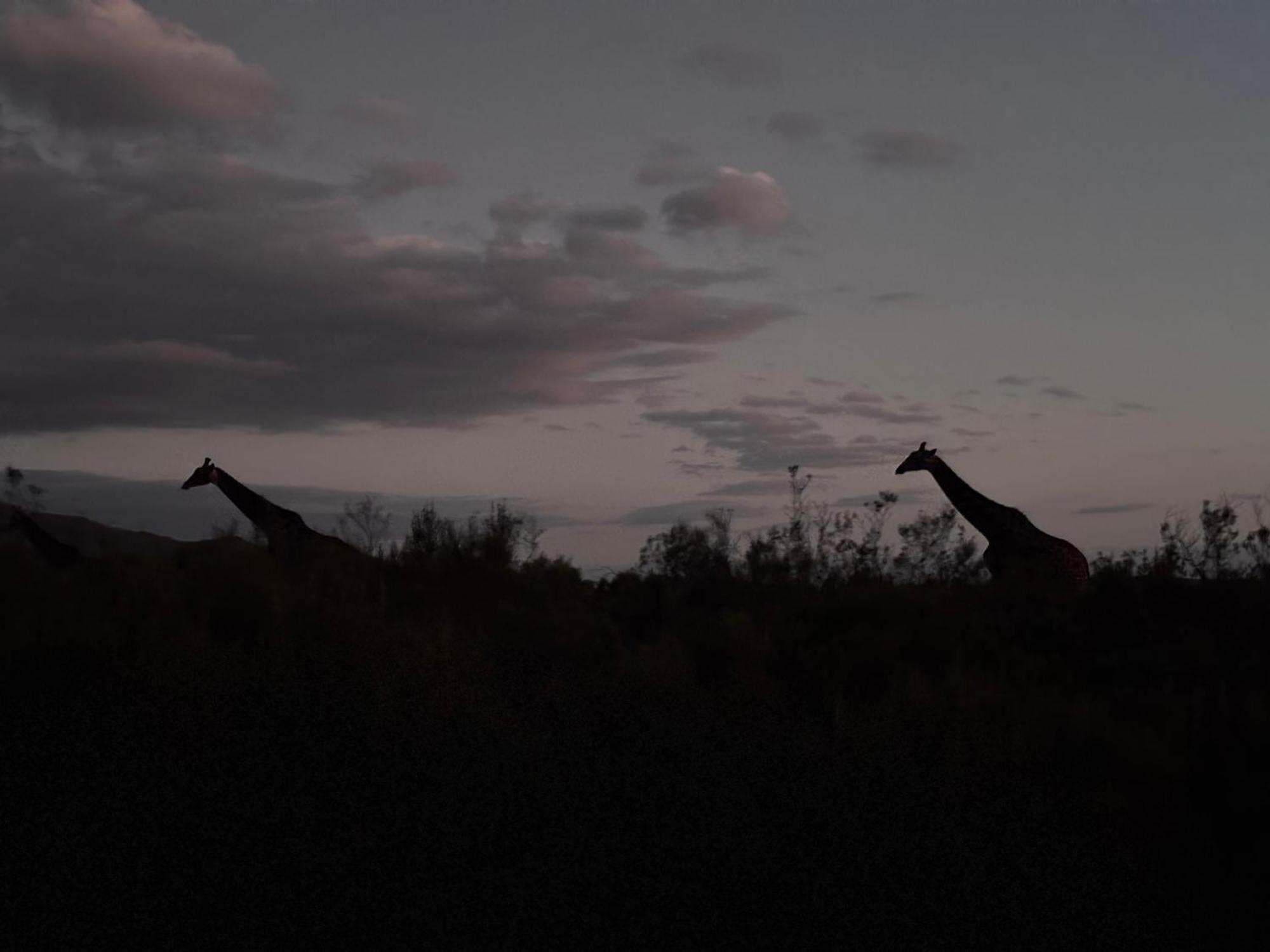 Wildehondekloof Game Lodge Matjiesrivier  Kültér fotó