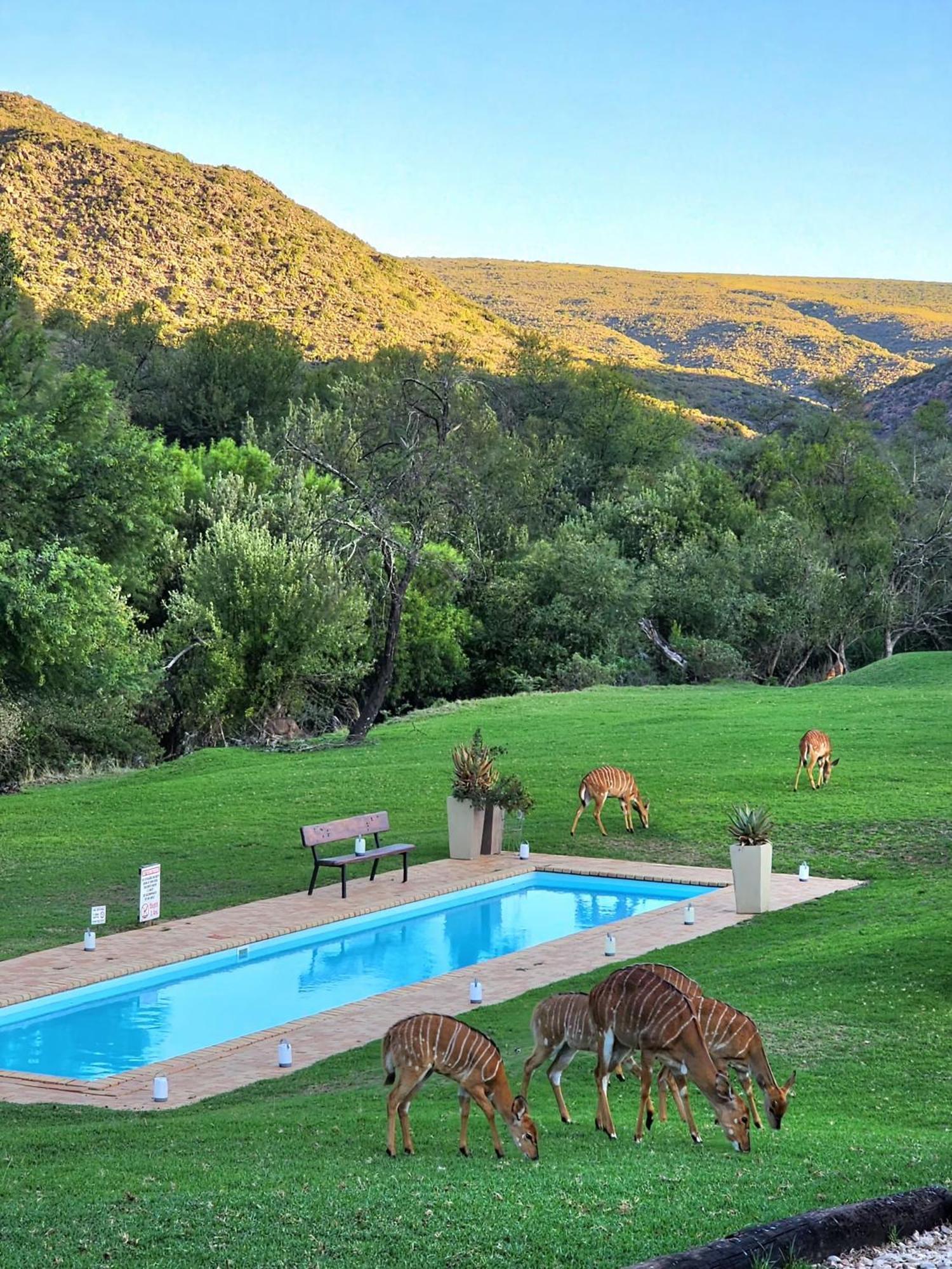 Wildehondekloof Game Lodge Matjiesrivier  Kültér fotó