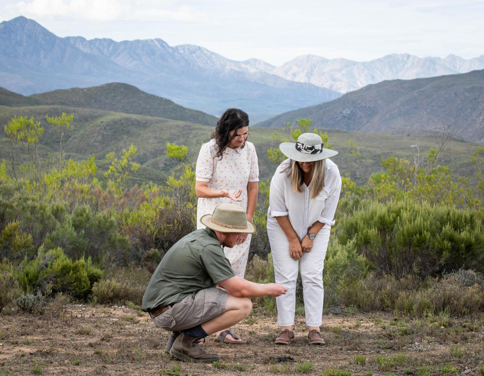 Wildehondekloof Game Lodge Matjiesrivier  Kültér fotó